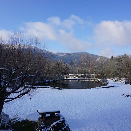 La Maison Et L'Etang - Grand Terrain Prive Vagney Zewnętrze zdjęcie