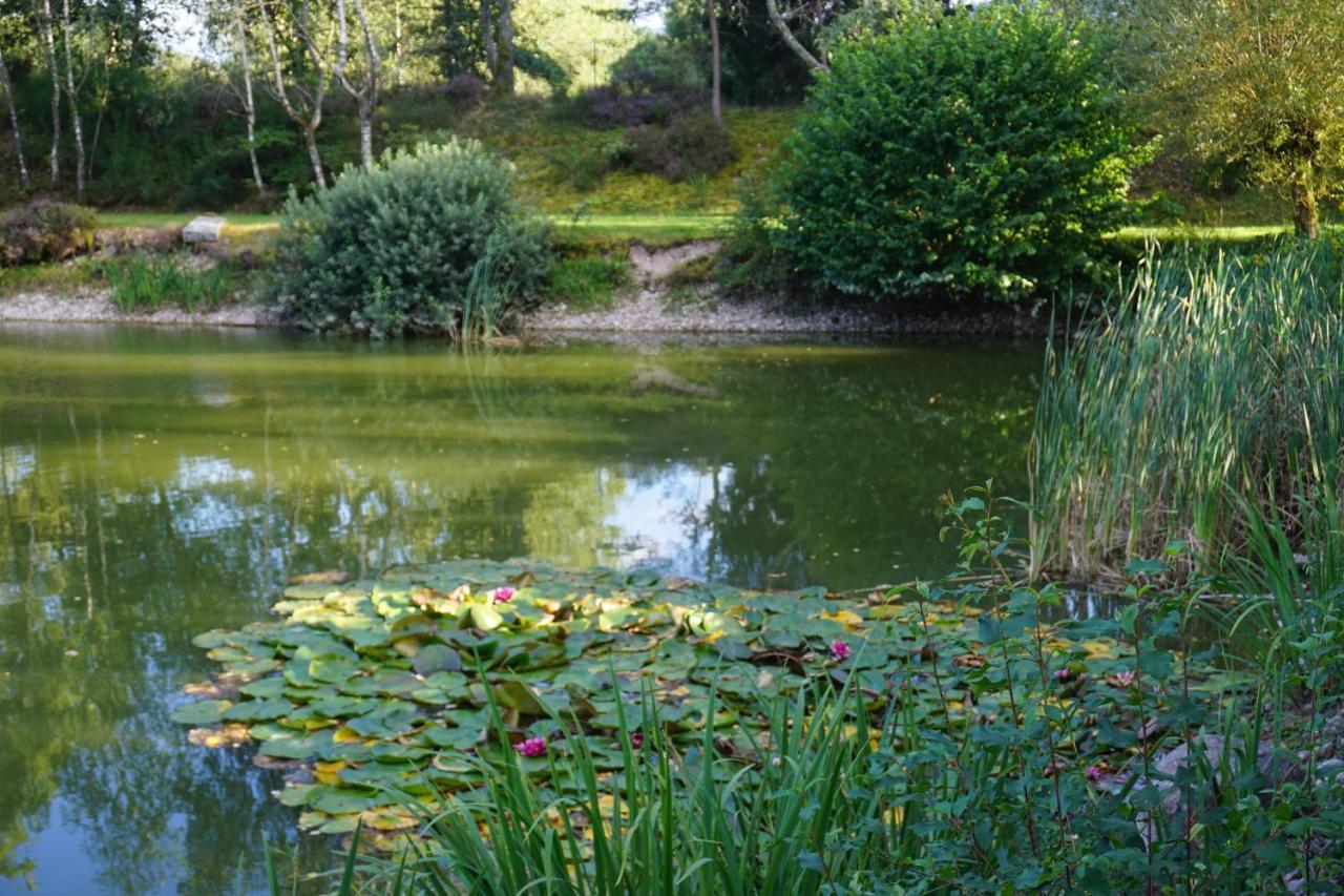 La Maison Et L'Etang - Grand Terrain Prive Vagney Zewnętrze zdjęcie
