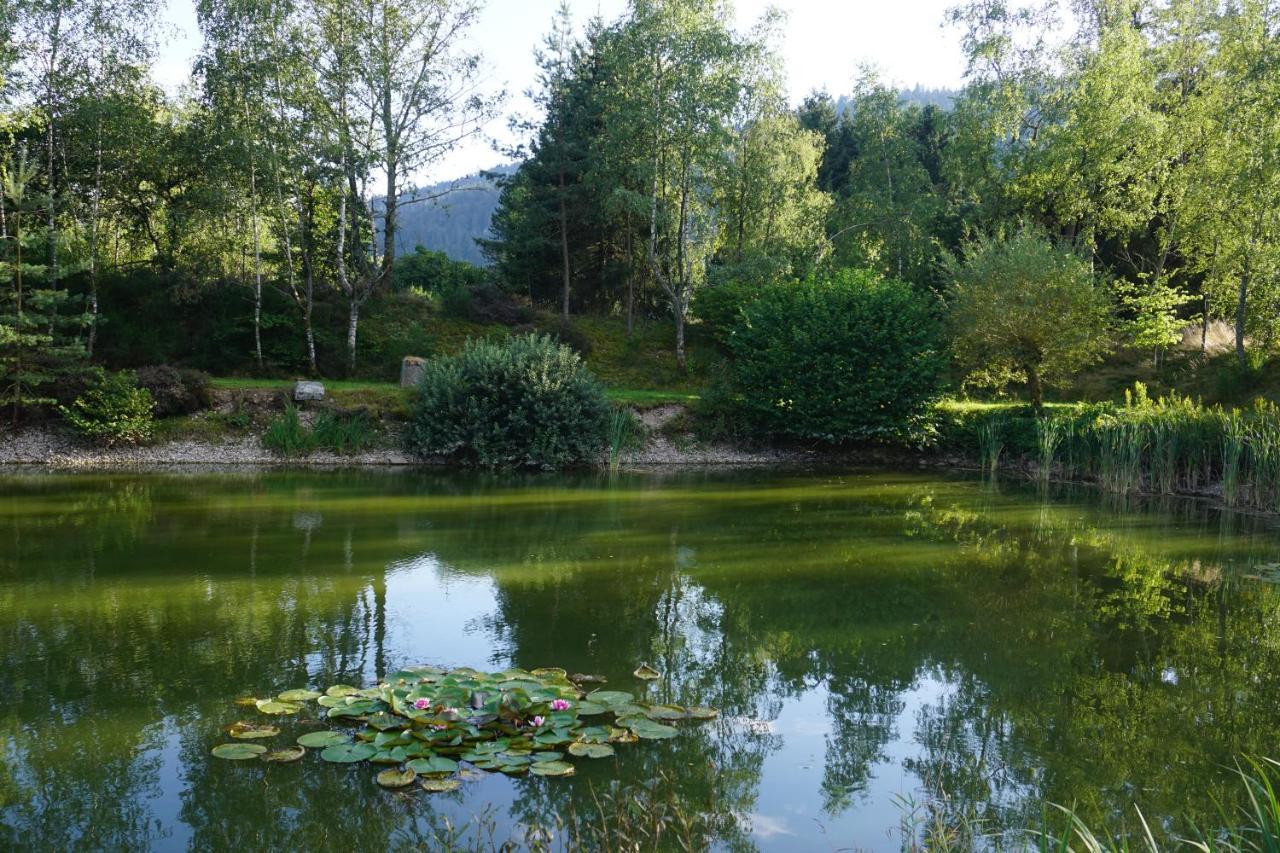 La Maison Et L'Etang - Grand Terrain Prive Vagney Zewnętrze zdjęcie