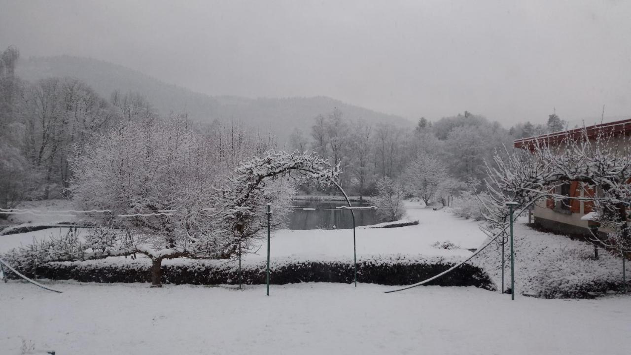 La Maison Et L'Etang - Grand Terrain Prive Vagney Zewnętrze zdjęcie