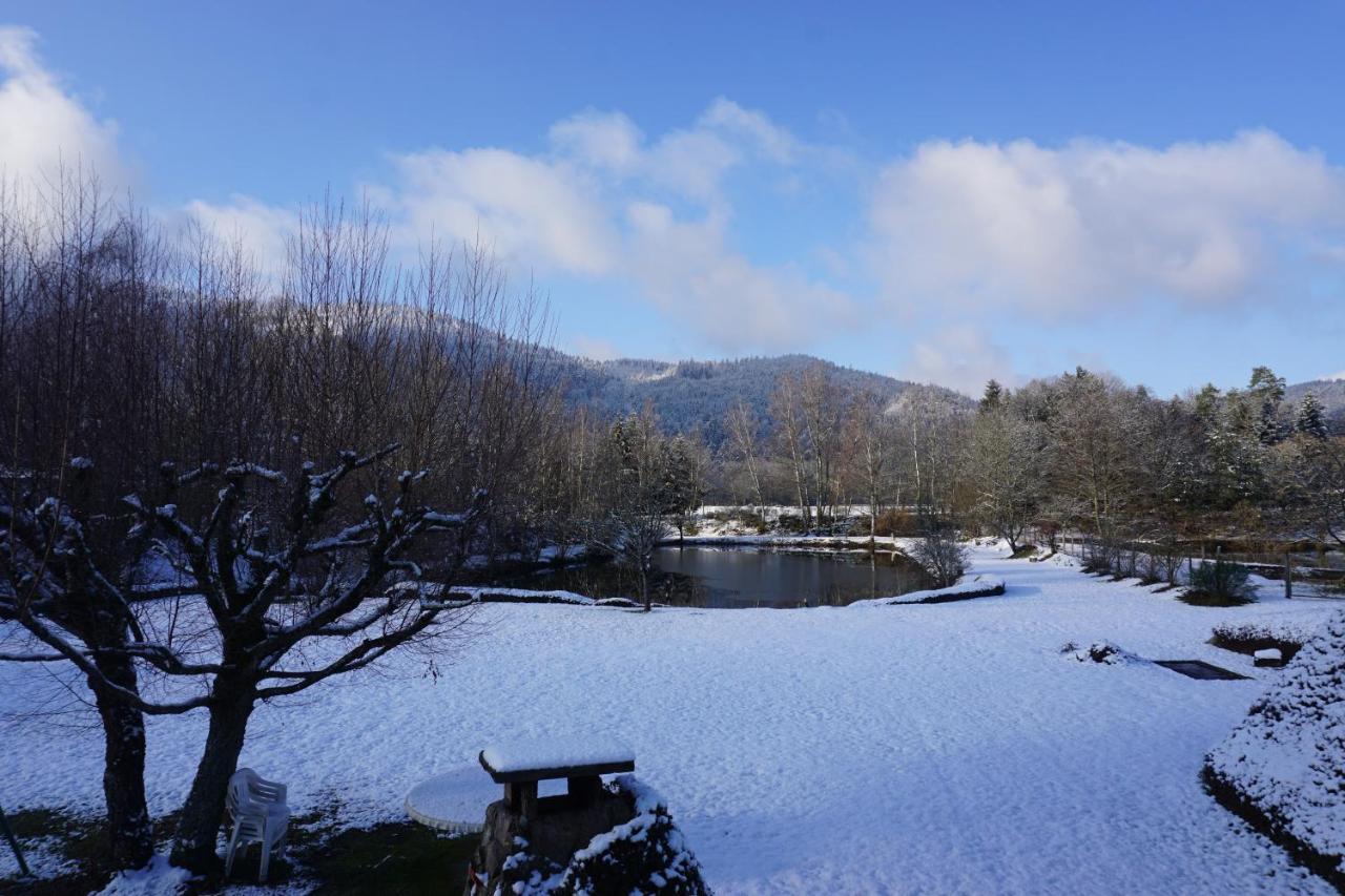 La Maison Et L'Etang - Grand Terrain Prive Vagney Zewnętrze zdjęcie